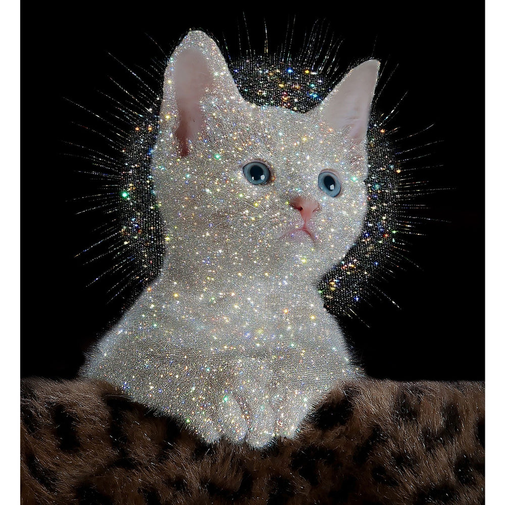 Cargar imagen en el visor de la galería, &lt;transcy&gt;Saint Kitty&lt;/transcy&gt;

